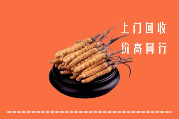 高价求购：上饶信州回收散虫草