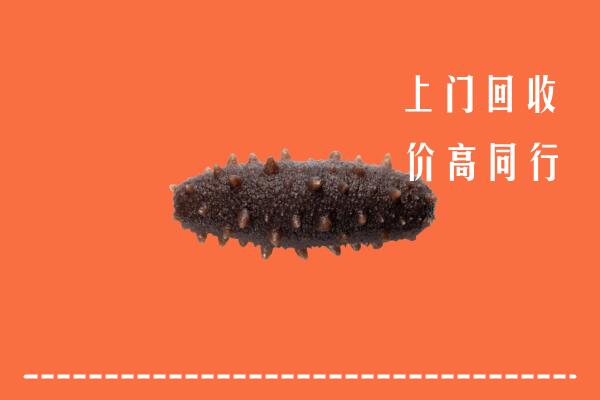 上饶信州回收海参