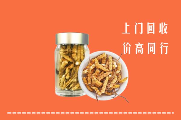 上饶信州回收冬虫夏草