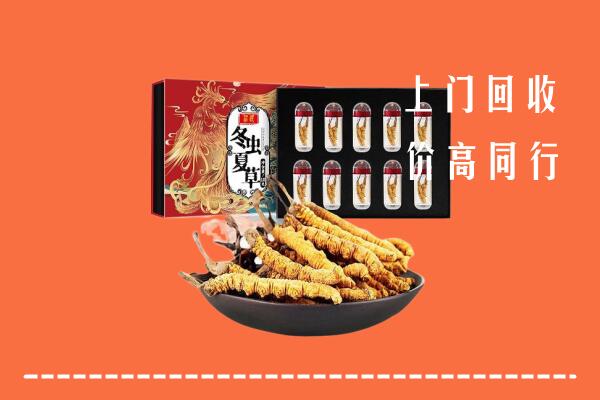 上饶信州回收虫草